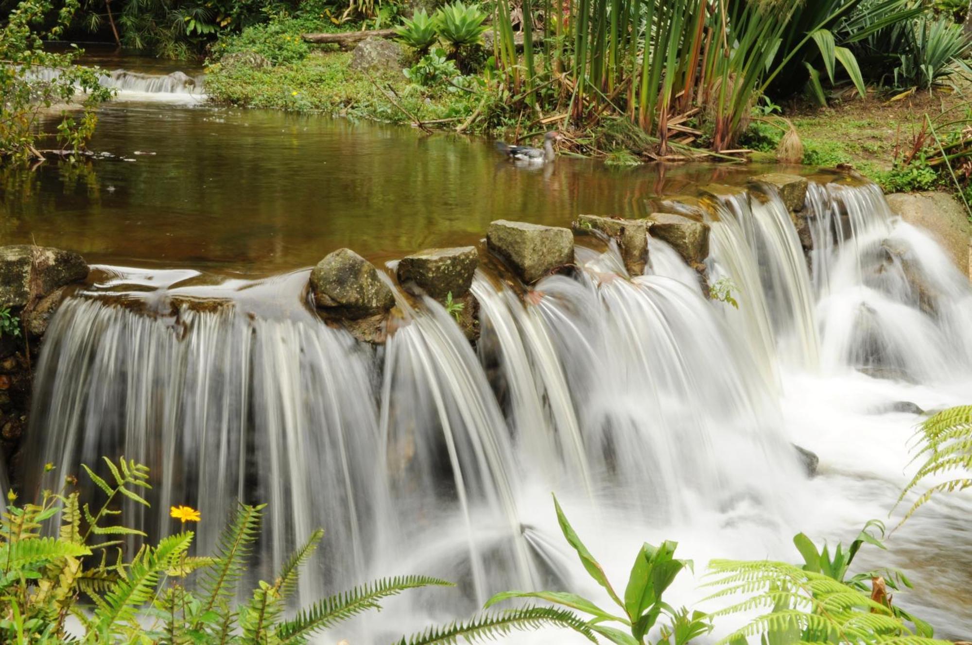 Hotel Pousada Sitio E Poesia Teresópolis Esterno foto